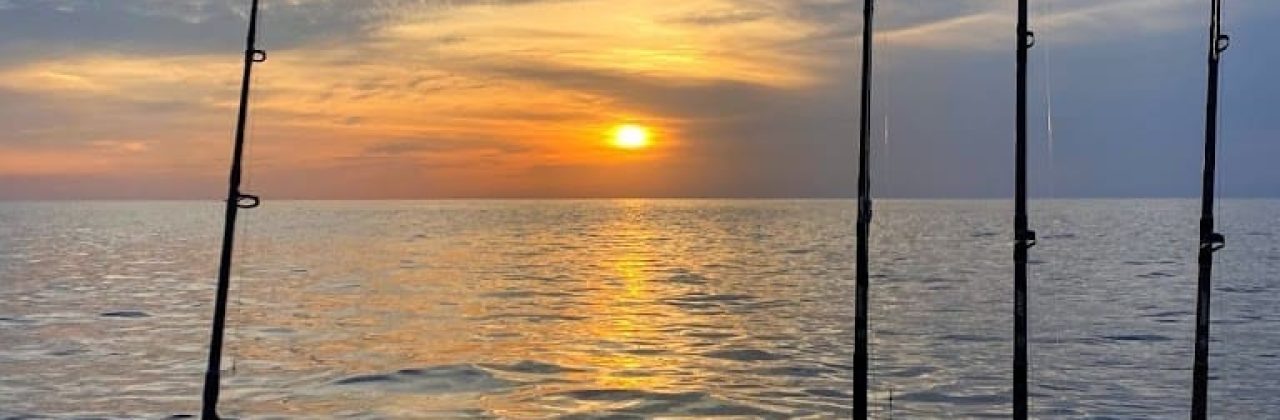 My Fishing Co. - Fishing Charter in Panama City