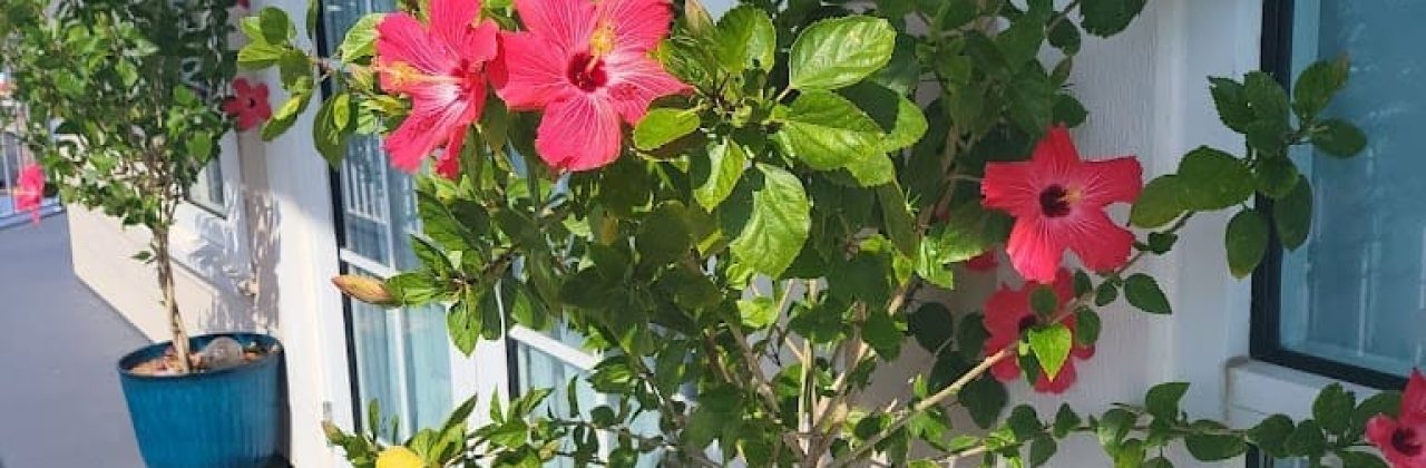 Oasis Massage and Wellness LLC - Massage Therapist in Pensacola Beach