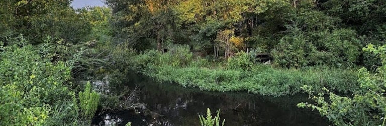 Off Road Trails- Marcus