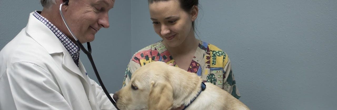 Olive Branch Pet Hospital - Animal Hospital in Pensacola