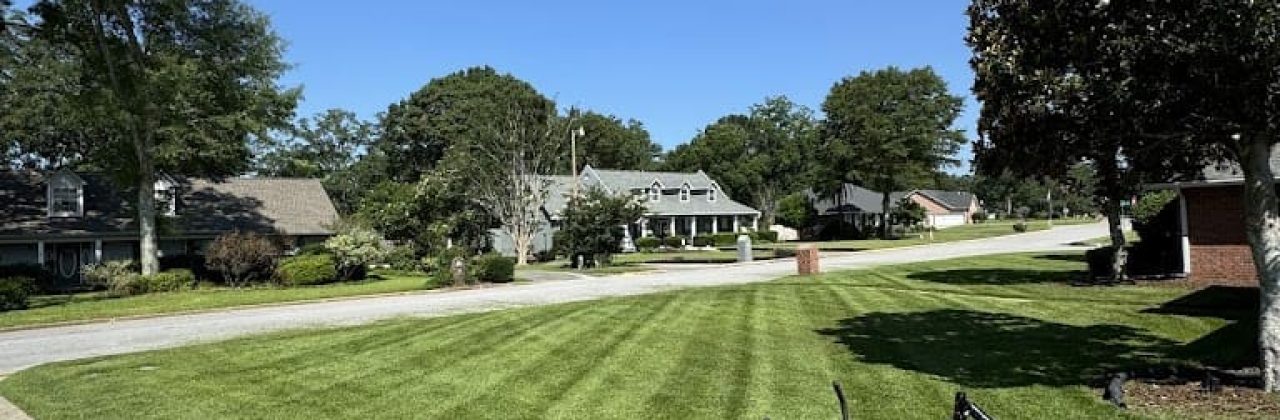 Panhandle lawnscapes - Lawn Care Service in Cantonment