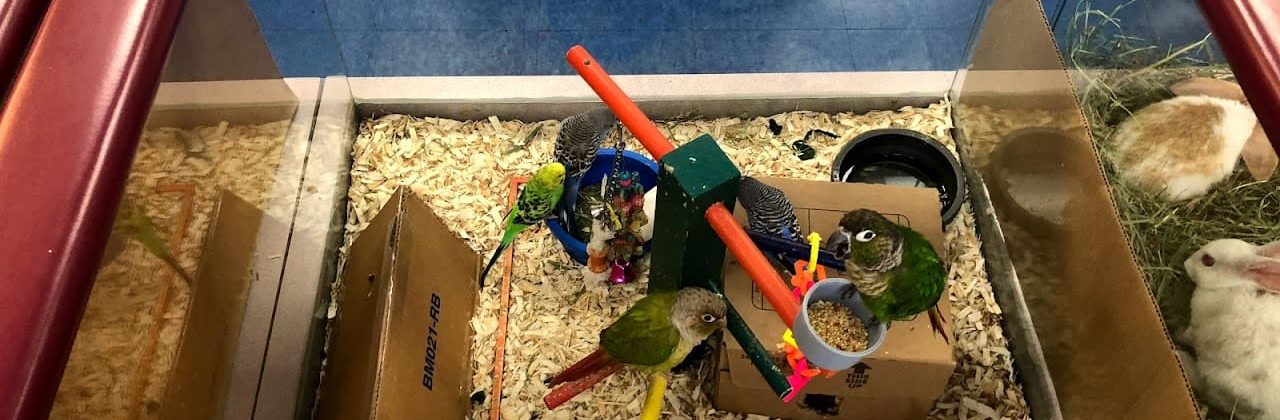 Pet Nation - Pet Supply Store in Navarre