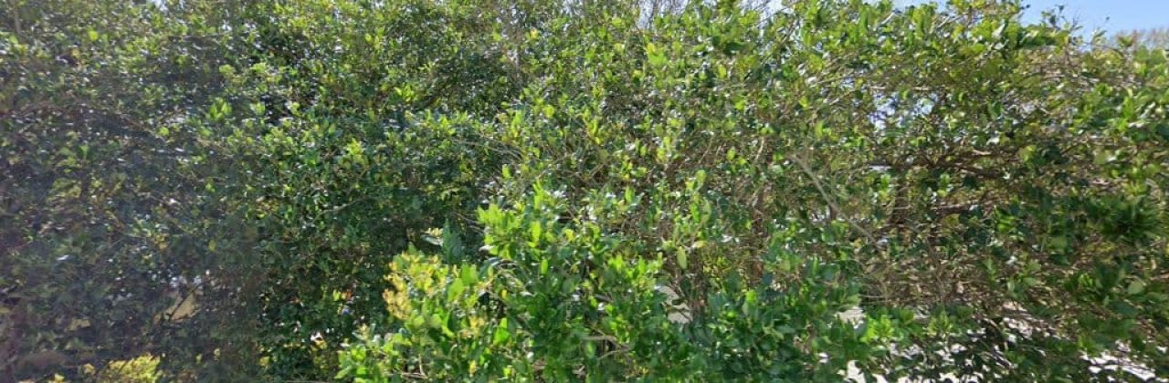 Power Supply - Homepage - Contractor in Gulf Breeze