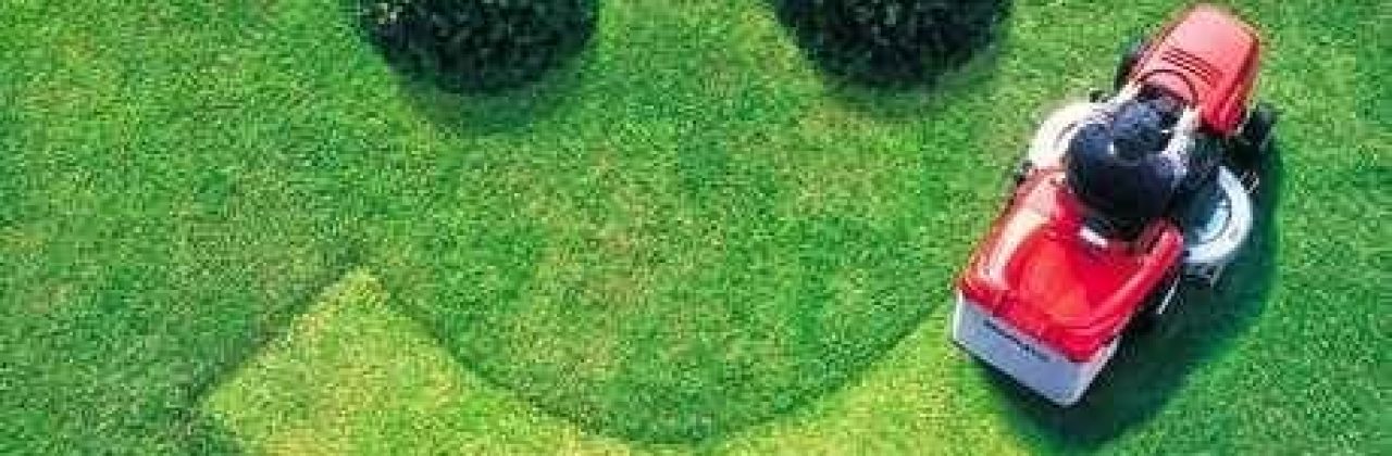 Pro Landscapes - Lawn Care Service in Panama City