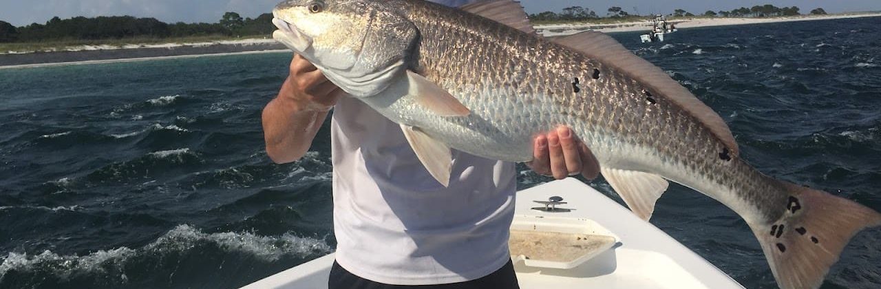Reel Fun Charters - Fishing Charter in Panama City Beach