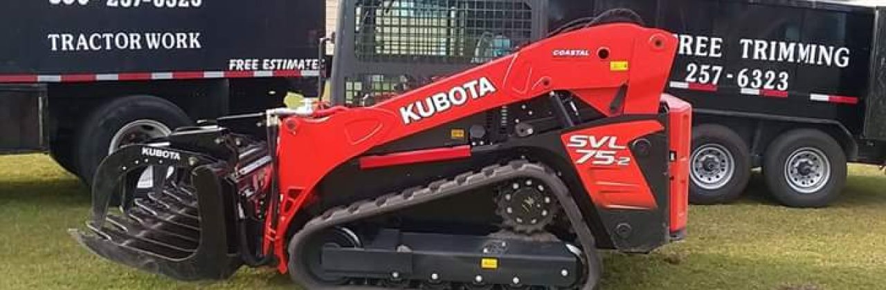 Rileys Tree Trimming and Removal Service - Tree Service in Panama City