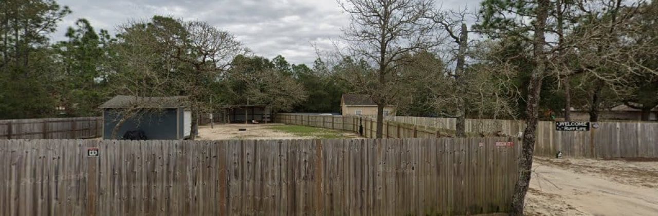 Ruff Life Professional Pet Sitters - Pet Sitter in Navarre