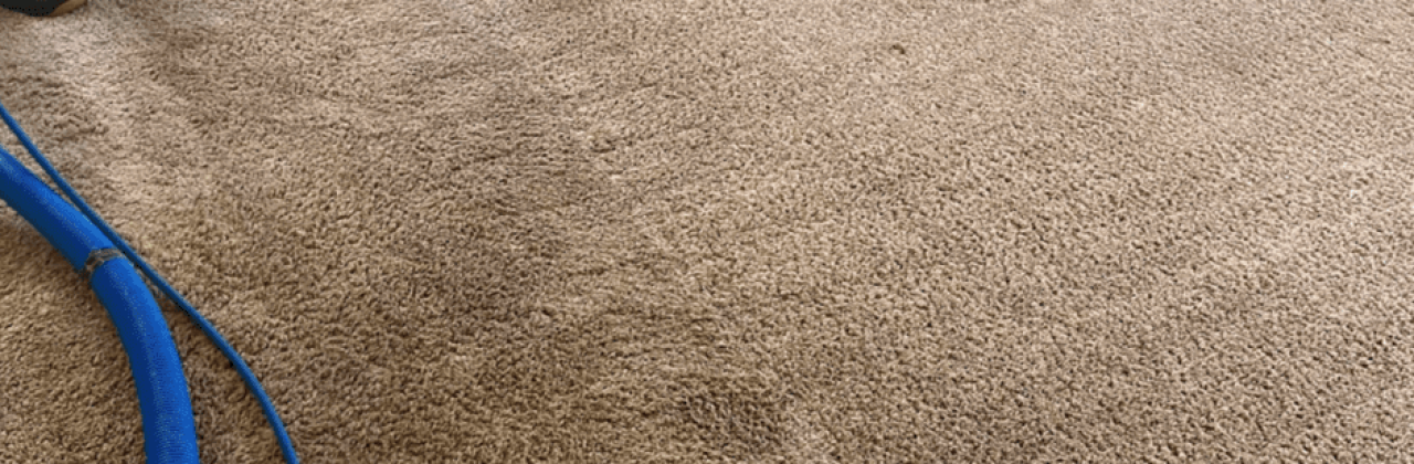 Rusty's Carpet Care LLC - Carpet Cleaning Service in Pensacola