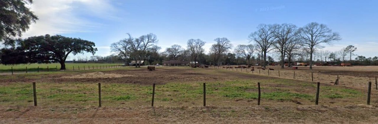 Salter Farms - Farm in Milton