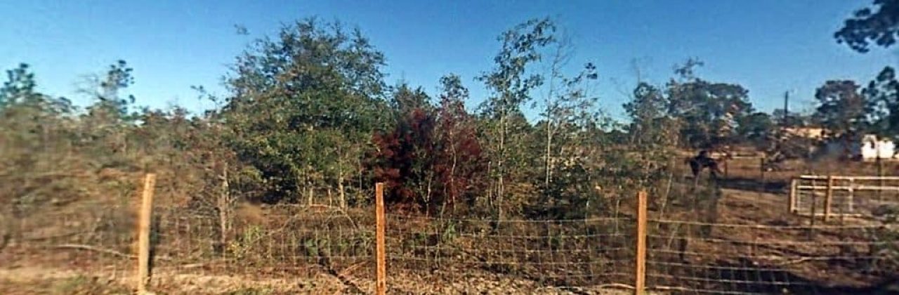 Sandtucky Cove - Campground in Chipley