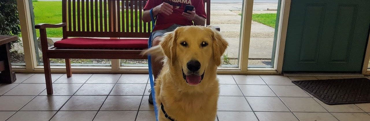 Santa Rosa Veterinary Clinic - Veterinarian in Milton