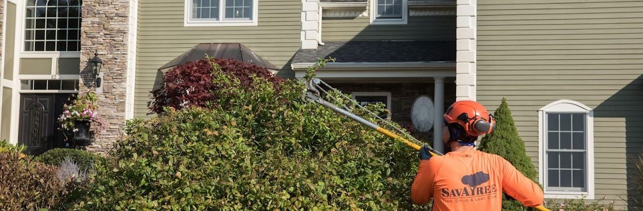 SavATree - Tree Service - Tree Service in Santa Rosa Beach