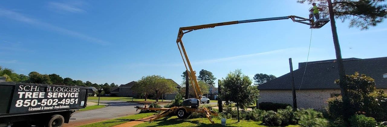 Schnelloggers Tree Service & Removal - Tree Service in Freeport