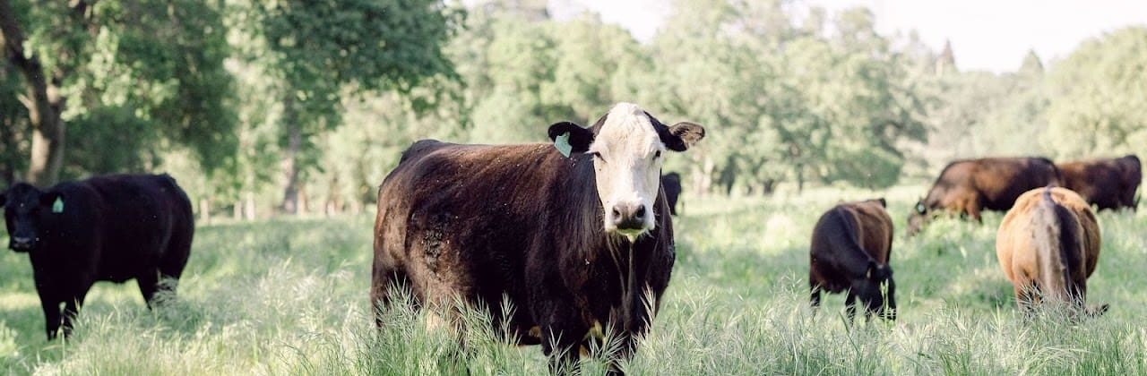 Sonny's Farm - Farm Shop in Crestview