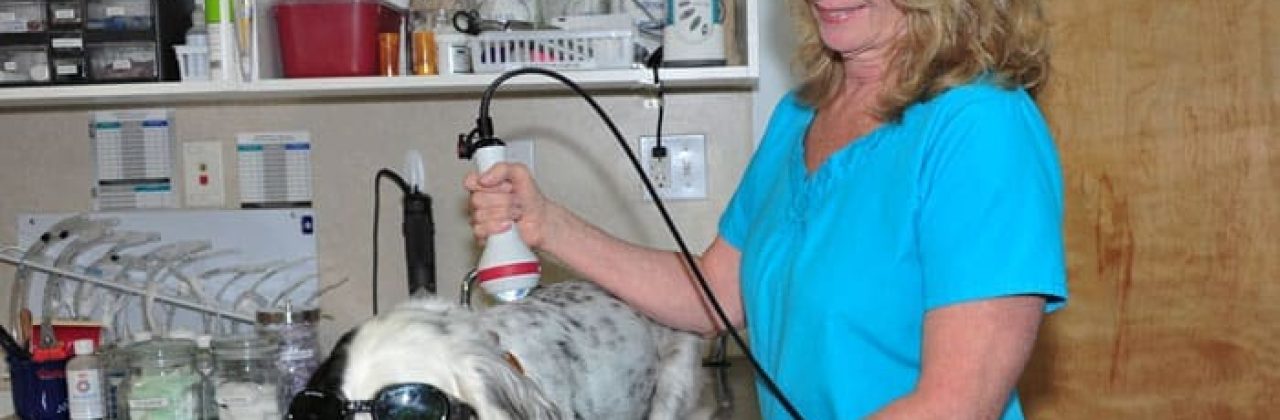 Soundside Animal Hospital - Animal Hospital in Navarre