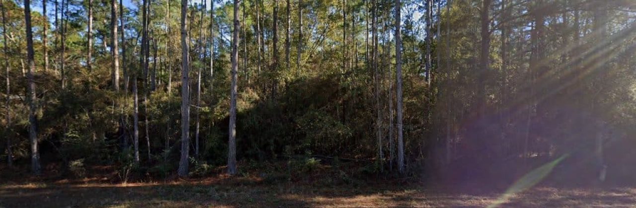 Sparks Professional Commercial Cleaning - House Cleaning Service in Ponce De Leon