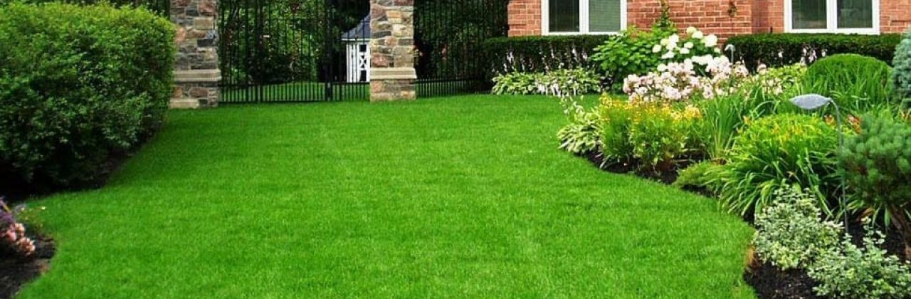 Strategic Lawn Care LLC - Lawn Care Service in Gulf Breeze