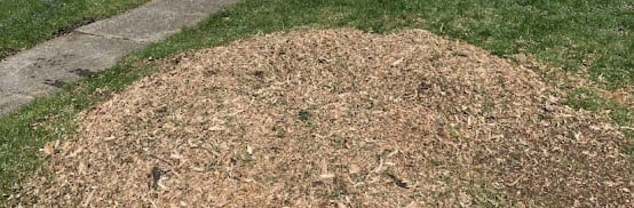 Stump Magic Gulf Coast - Tree Service in Pensacola