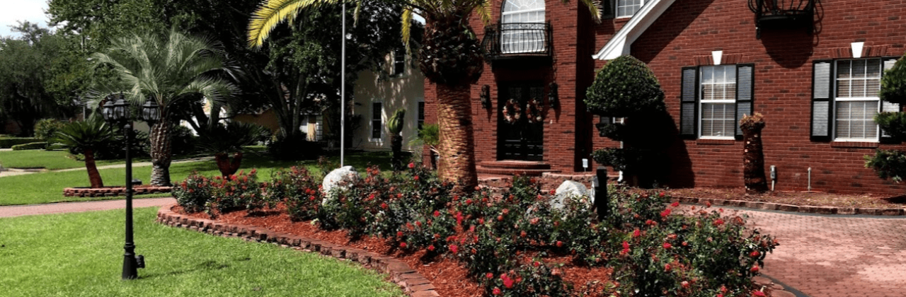 TREES R US - Tree Farm in Panama City