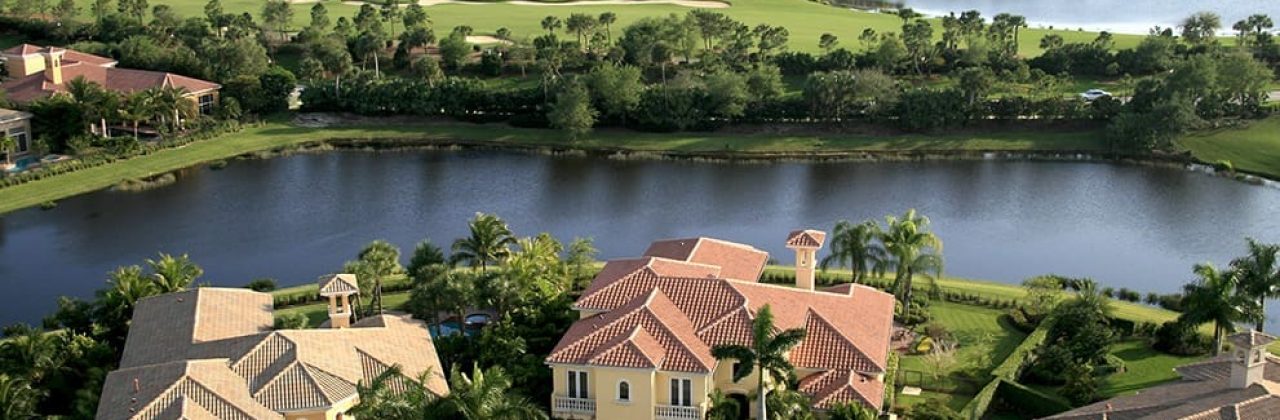 The Law Office Of Lucy C. Collins