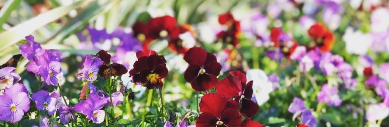 The Turf Tailors - Landscaper in Fort Walton Beach