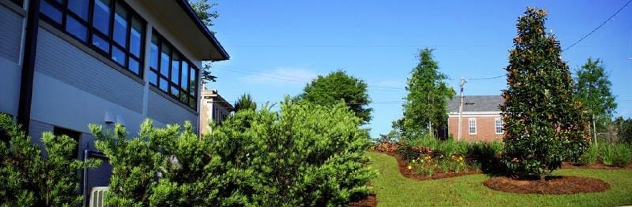 The Wallace Company - Landscaper in Pensacola