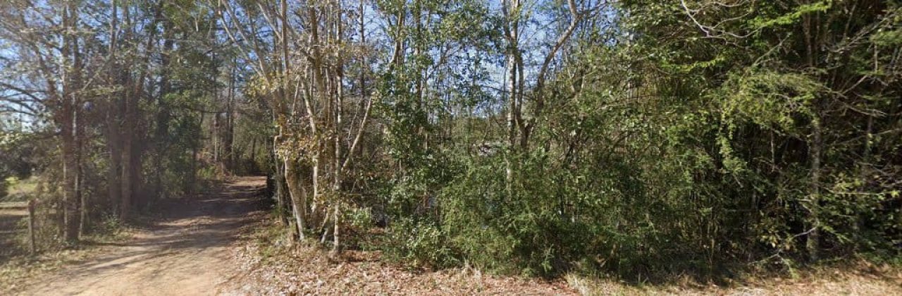 The other guy lawn care and tree service - Lawn Care Service in Cantonment