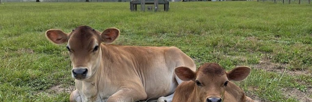 Triple Strand Ranch LLC - Farm in Baker