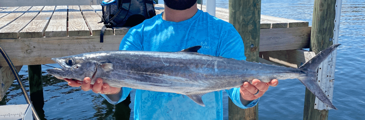 Twisted Palms Salty Adventures - Attraction in Pensacola