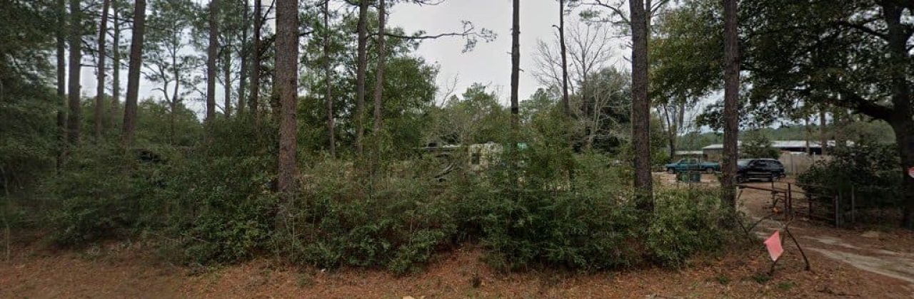 Walton Springs Farm - Farm in Defuniak Springs