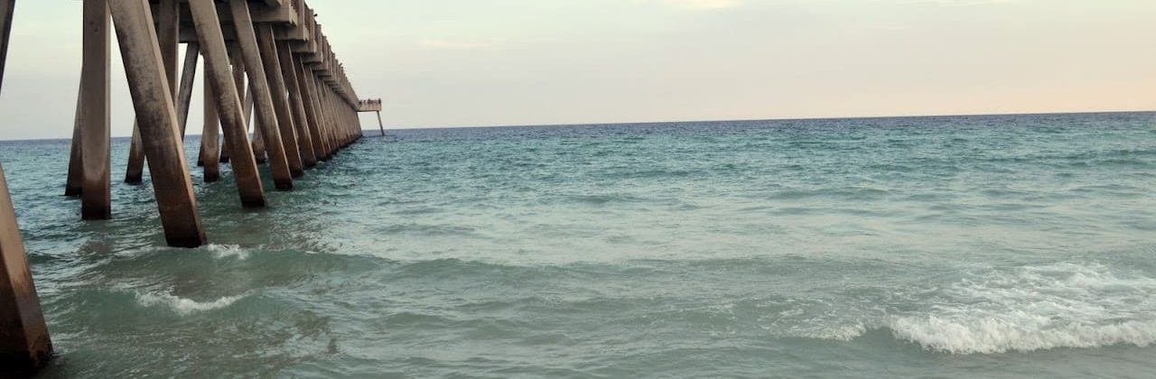 Wild Thistle Therapy - Mental Health Service in Gulf Breeze