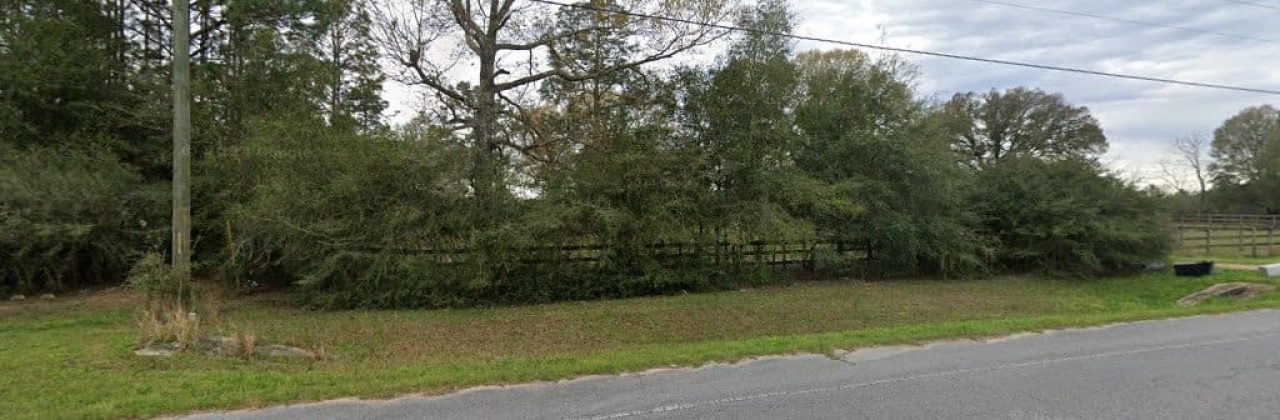 Williamson Veterinary Clinic - Veterinarian in Crestview