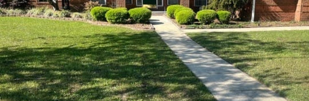 Willow Lawn Care & Landscaping - Landscaper in Pensacola