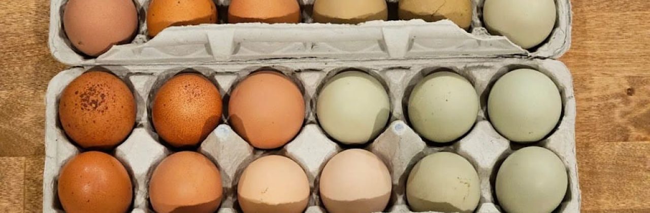 Wren Haven Homestead - Farm in Pensacola