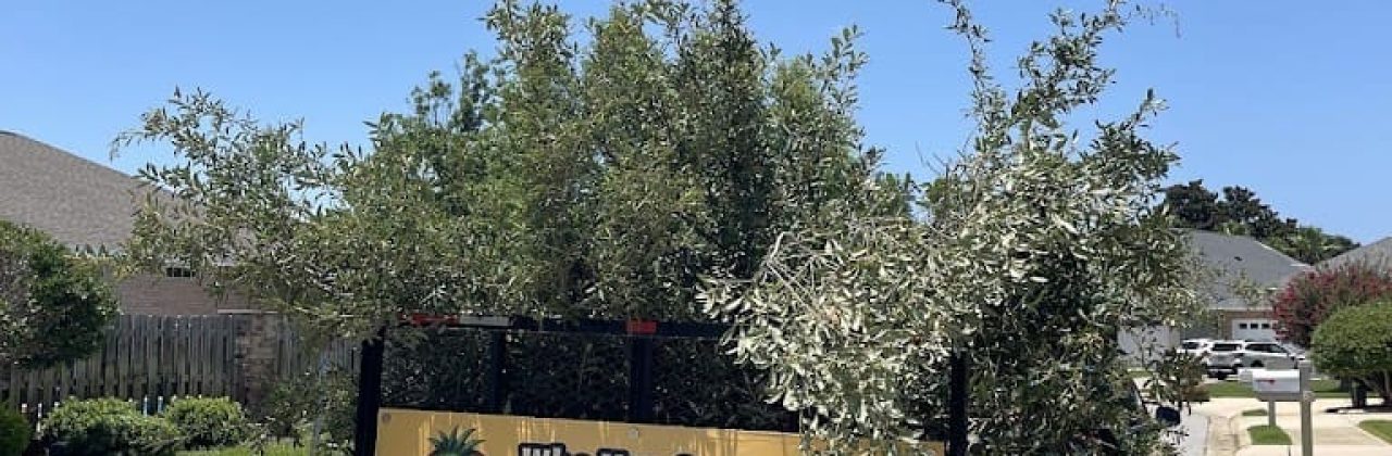 Yard Busters LLC - Landscaper in Gulf Breeze