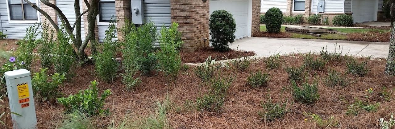 Yardz Landscaping - Lawn Care Service in Freeport