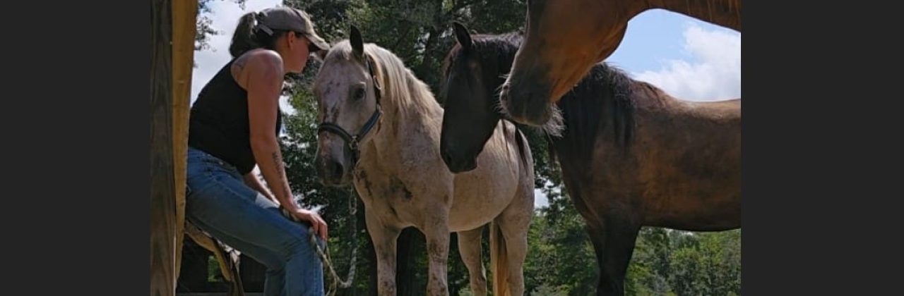 Yin-Yang Horsemanship - Horse Trainer in Defuniak Springs