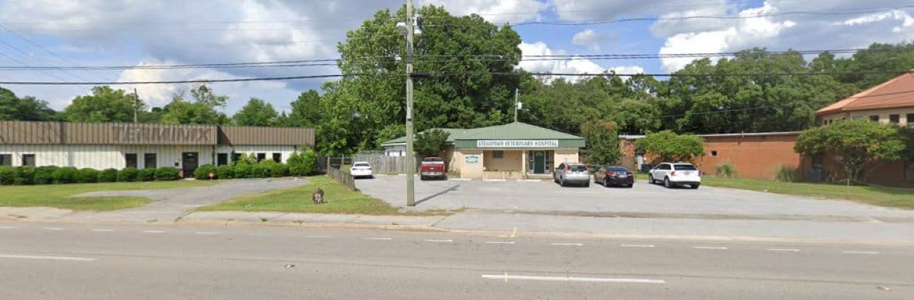 dr steadmend - Veterinarian in Pensacola