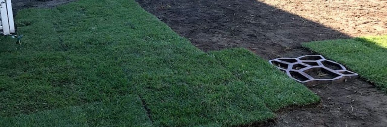 edén garden restoration